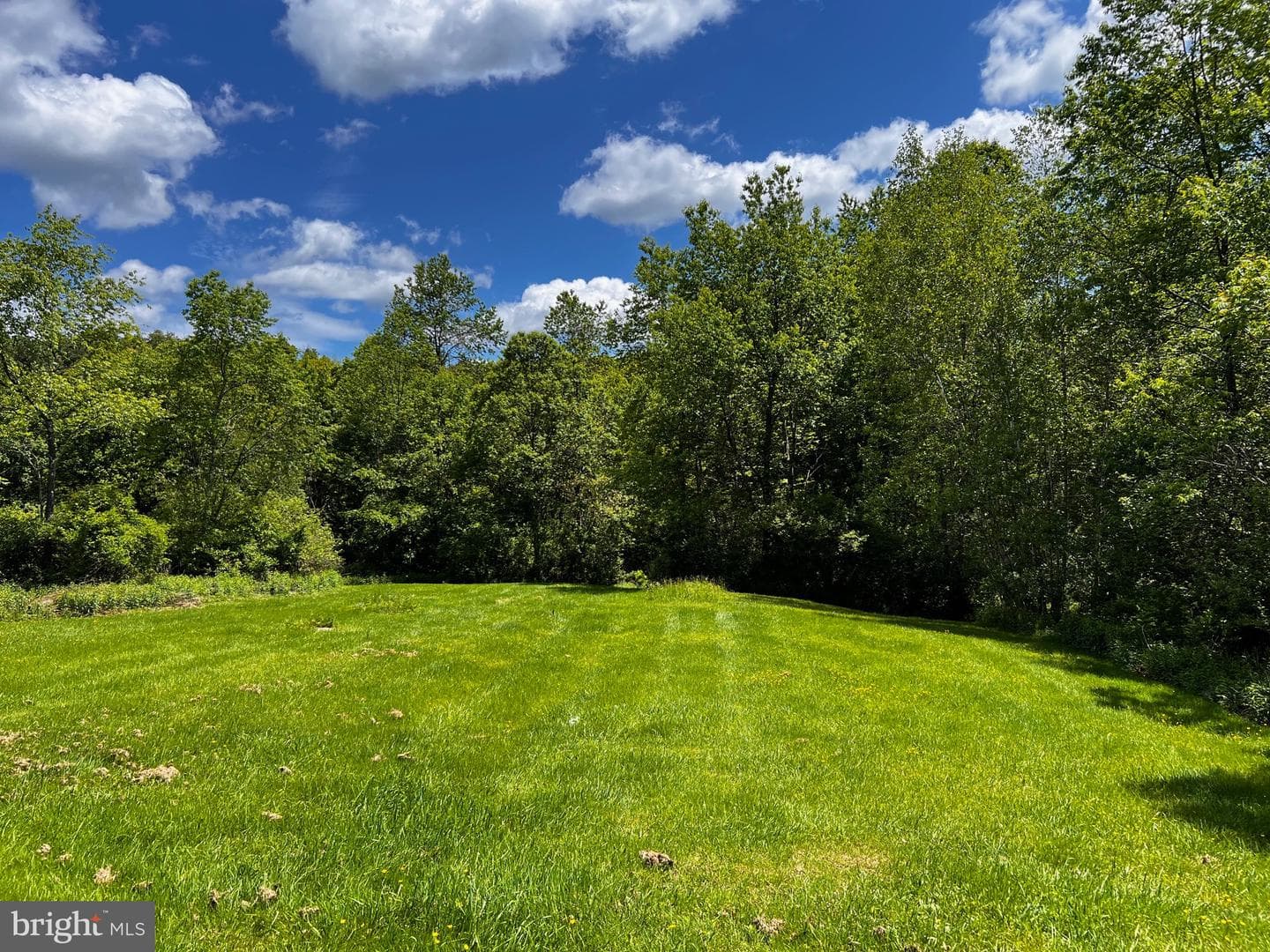 452 Boyds Mills Road photo 11