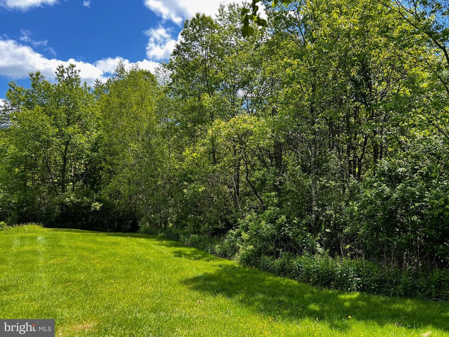 452 Boyds Mills Road photo 12