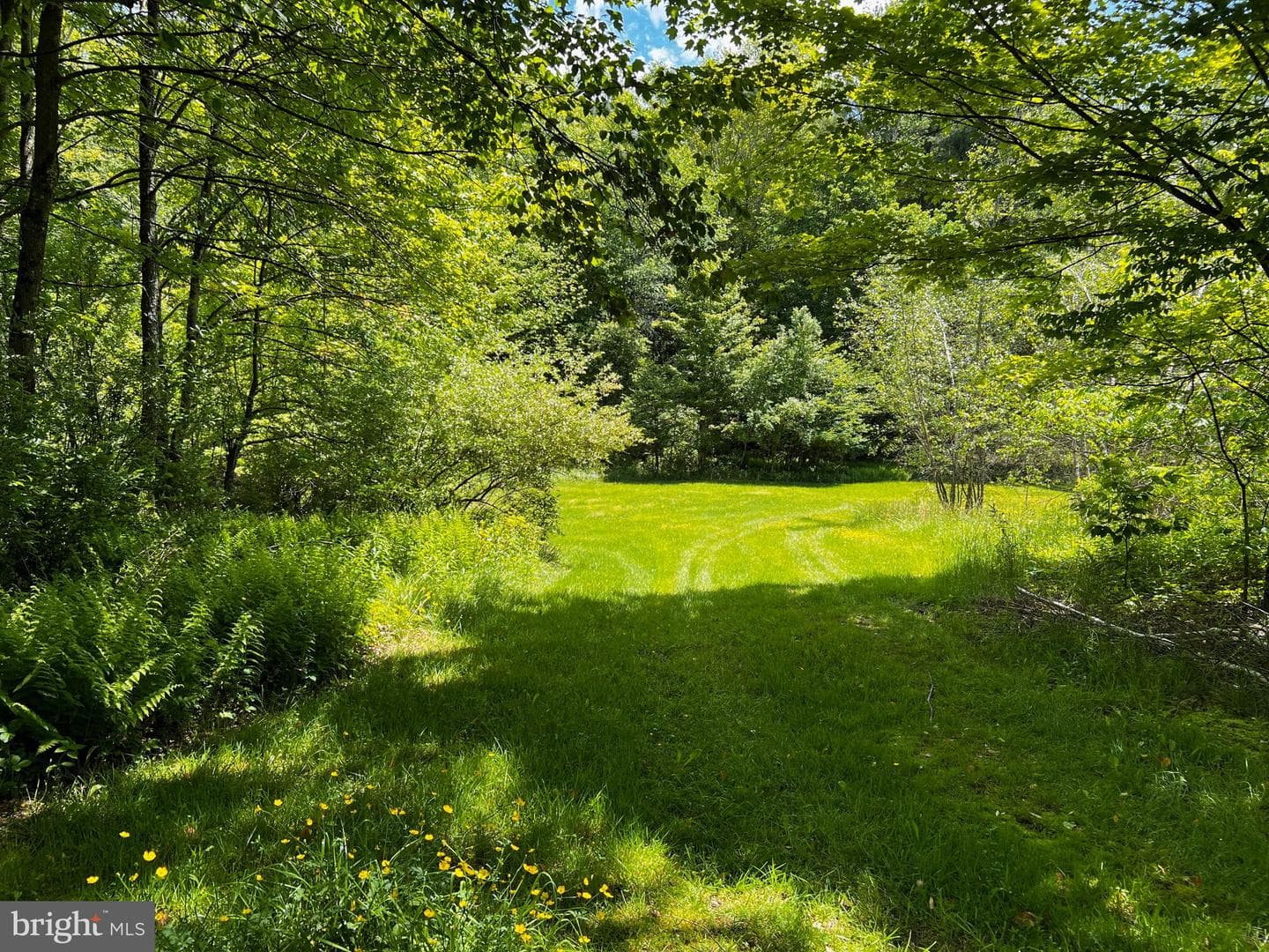 452 Boyds Mills Road photo 15