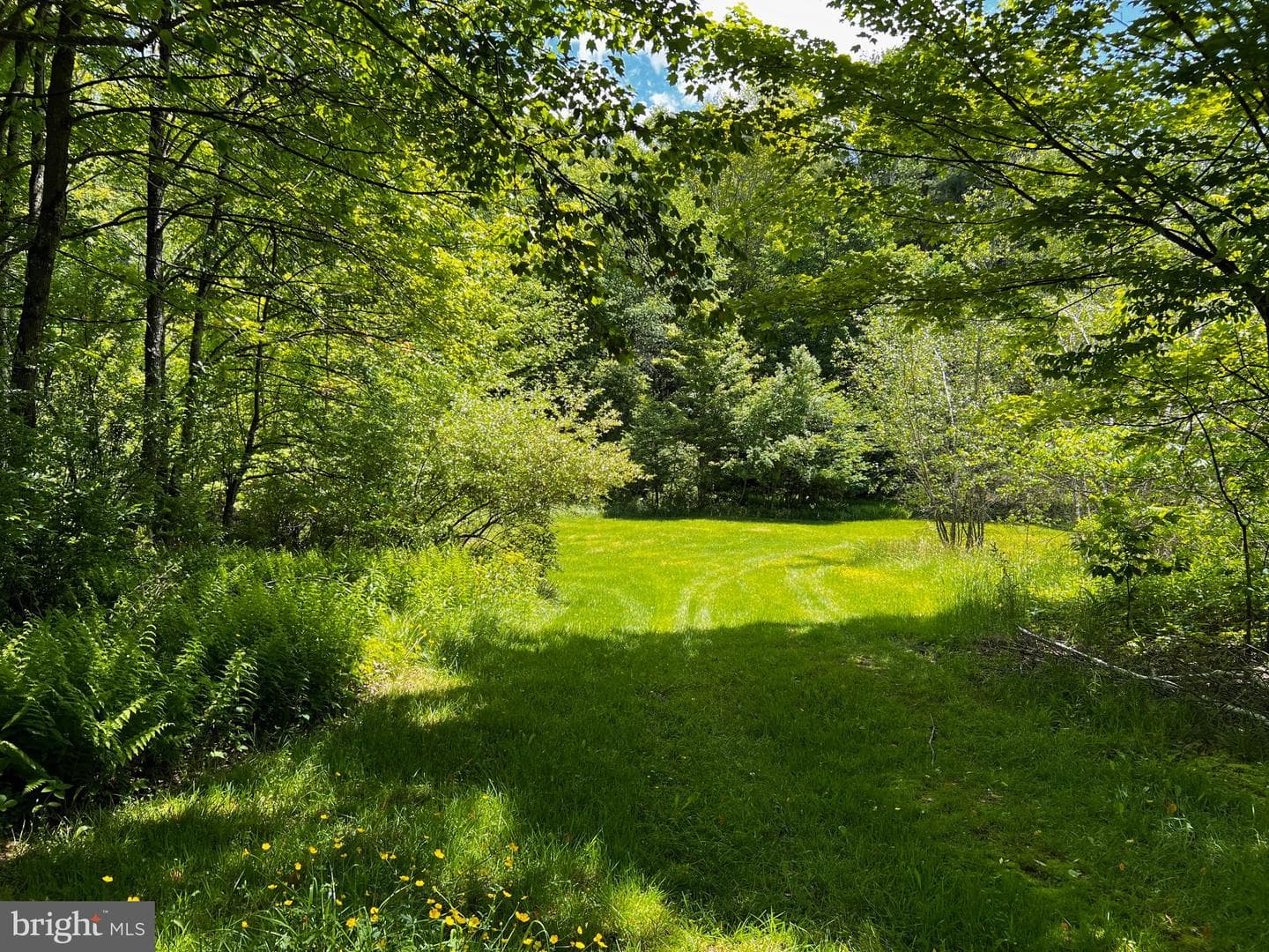 452 Boyds Mills Road photo 16