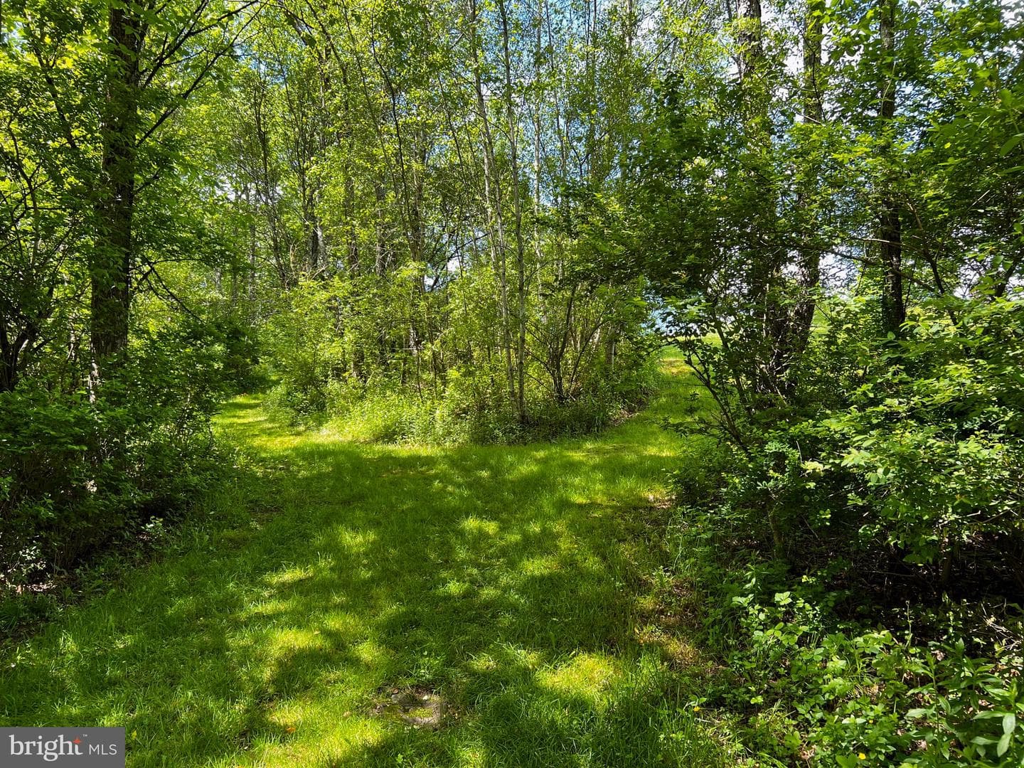 452 Boyds Mills Road photo 17