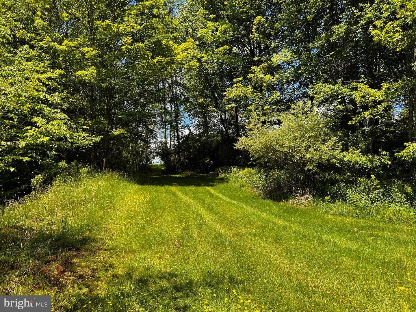 452 Boyds Mills Road photo 18