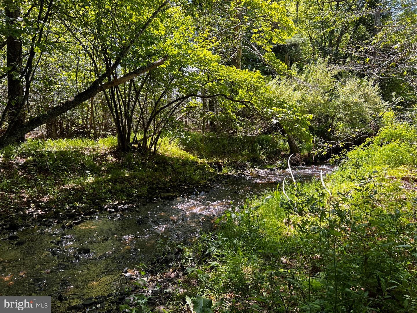452 Boyds Mills Road photo 19