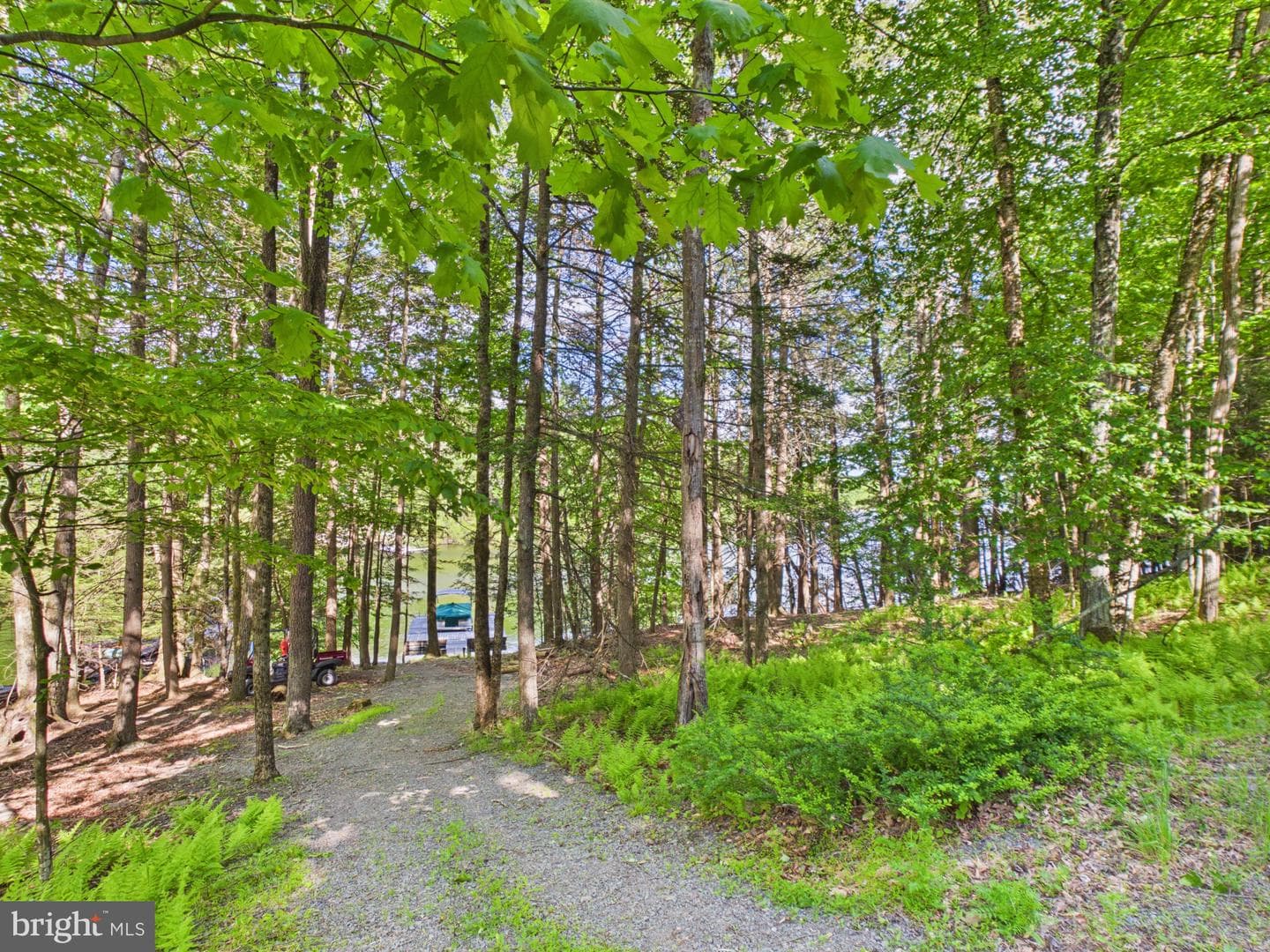 477 Finn Swamp photo 42