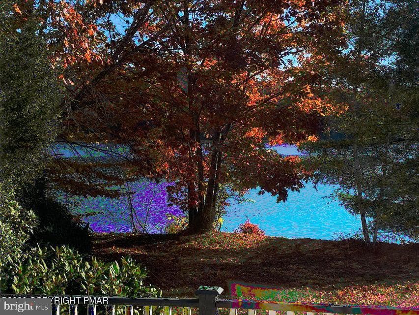 32 Shore Drive photo 35