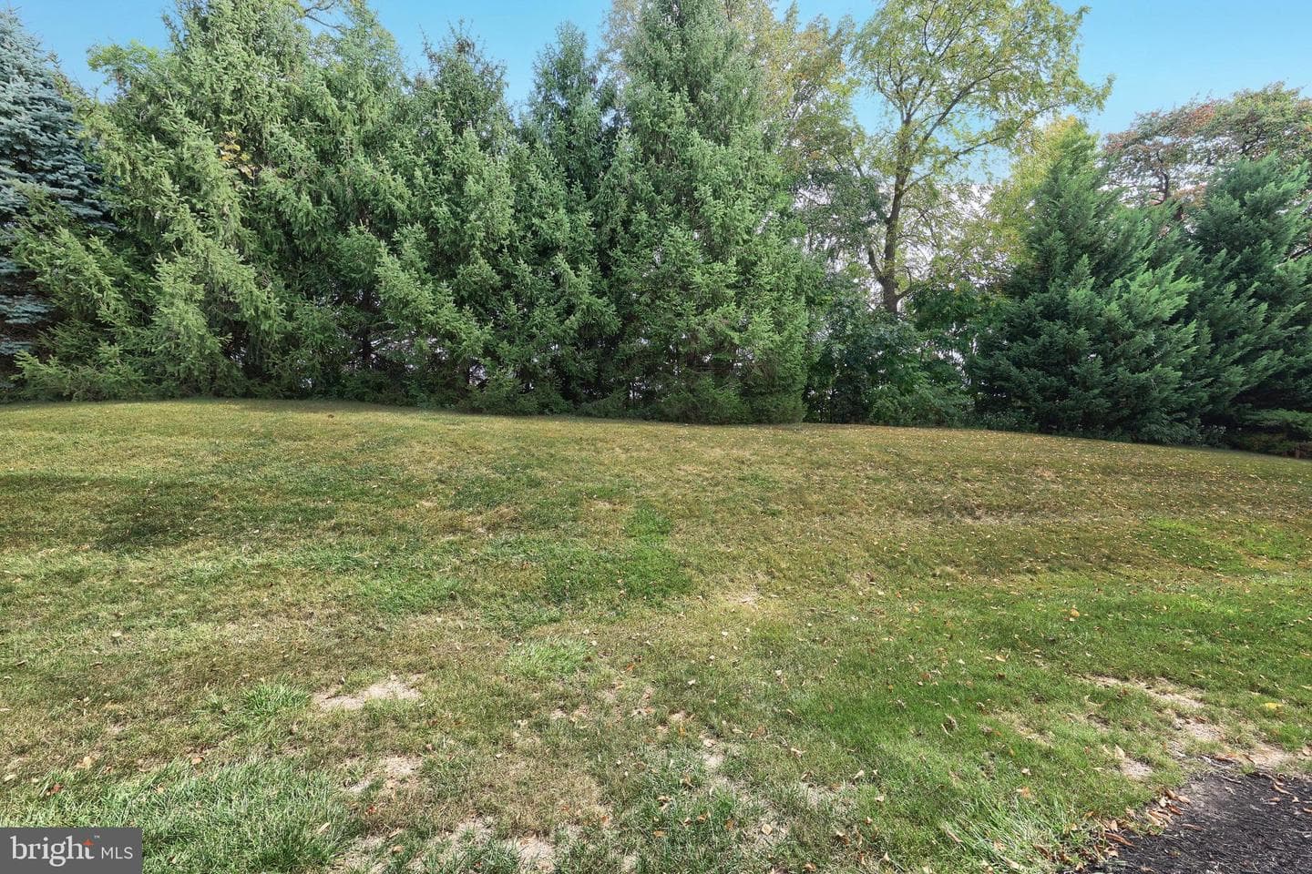 313 Harvest Field photo 10