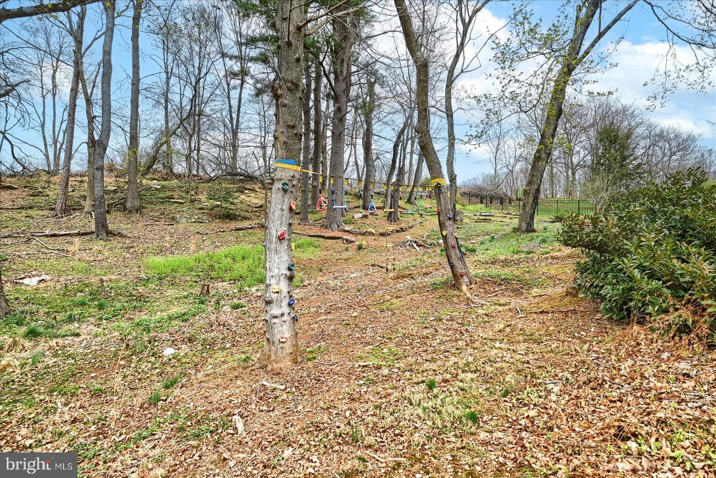 2639 Rexwood Drive photo 63