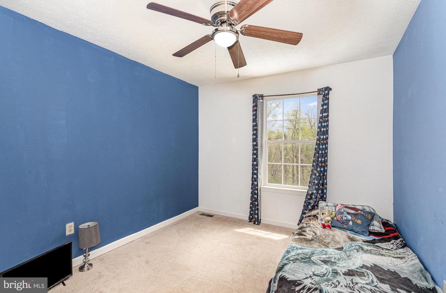 167 Country Ridge Drive photo 19