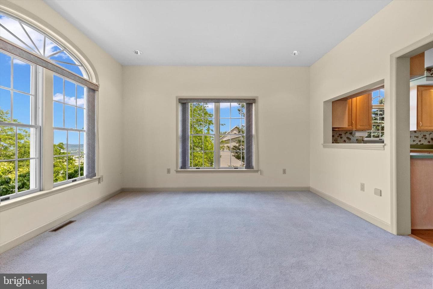 269 Willis Road photo 19