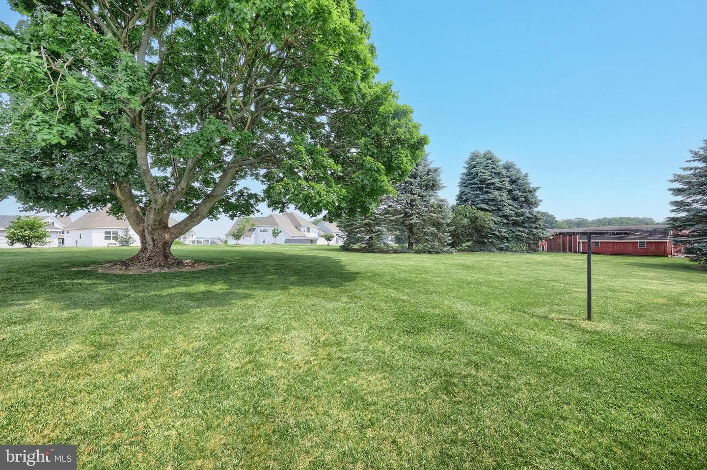 406 Campbell Road photo 11