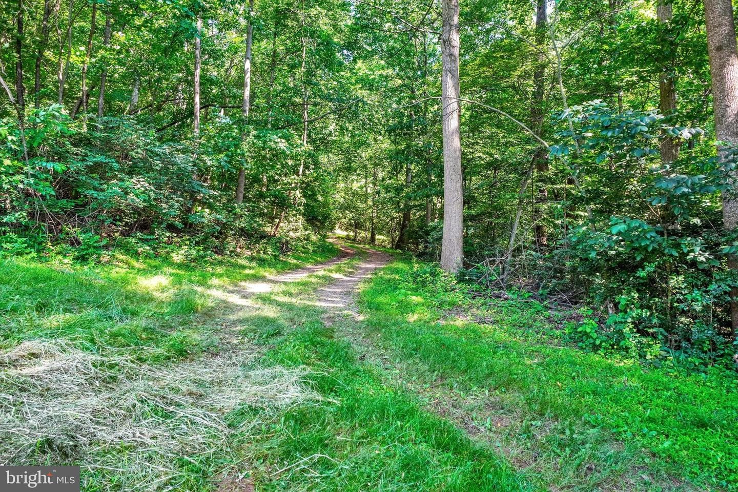 4299 Krebs Road photo 73