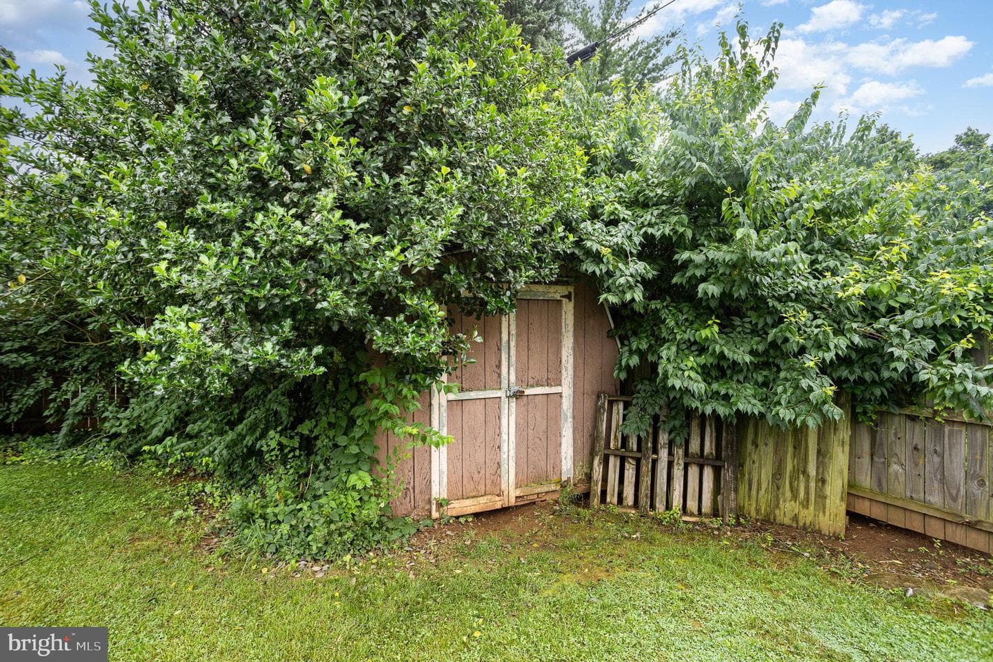 102 N Williams Street photo 24