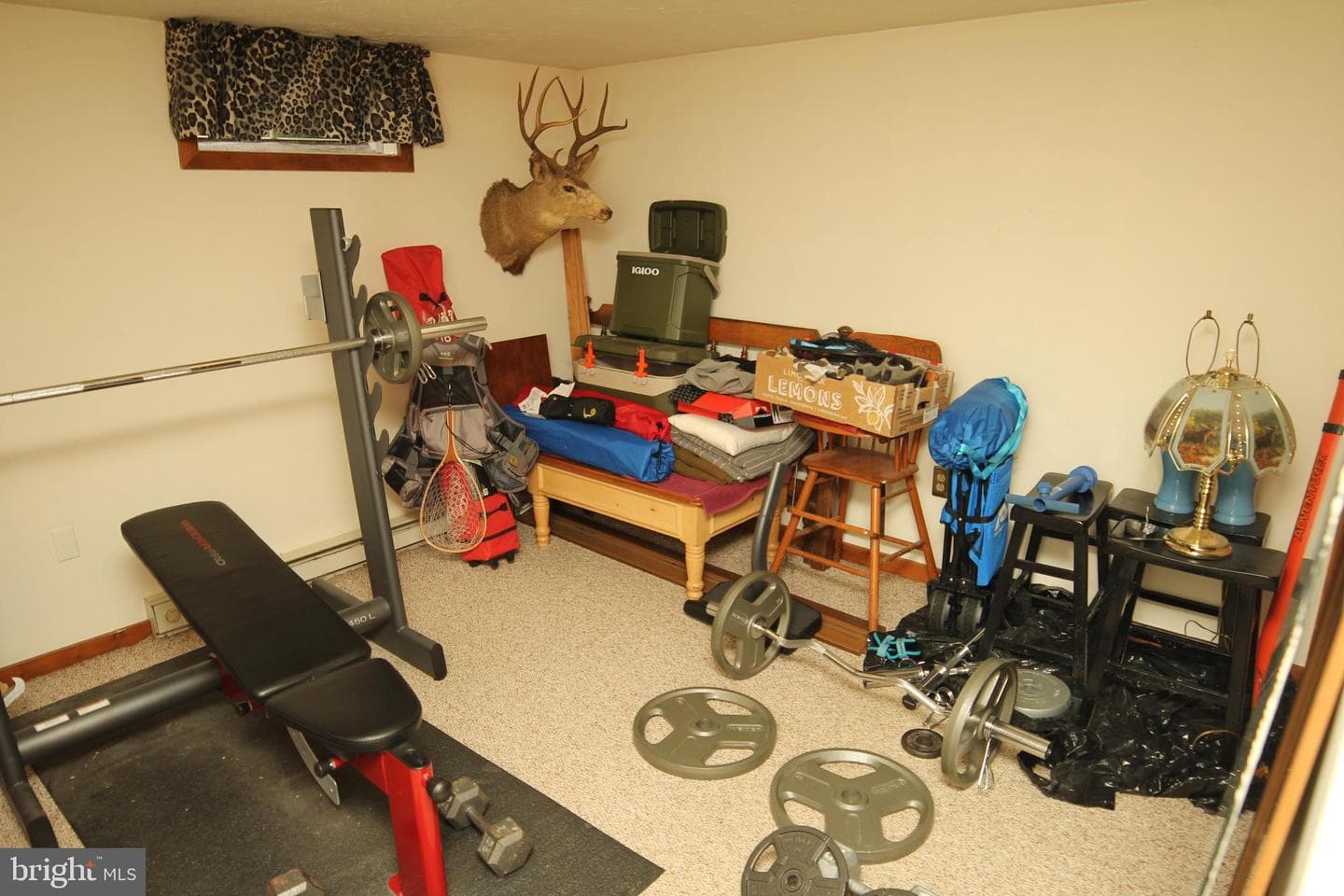 2718 Furnace Road photo 47