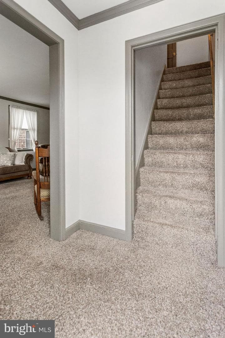 401 N Forrest Street photo 4