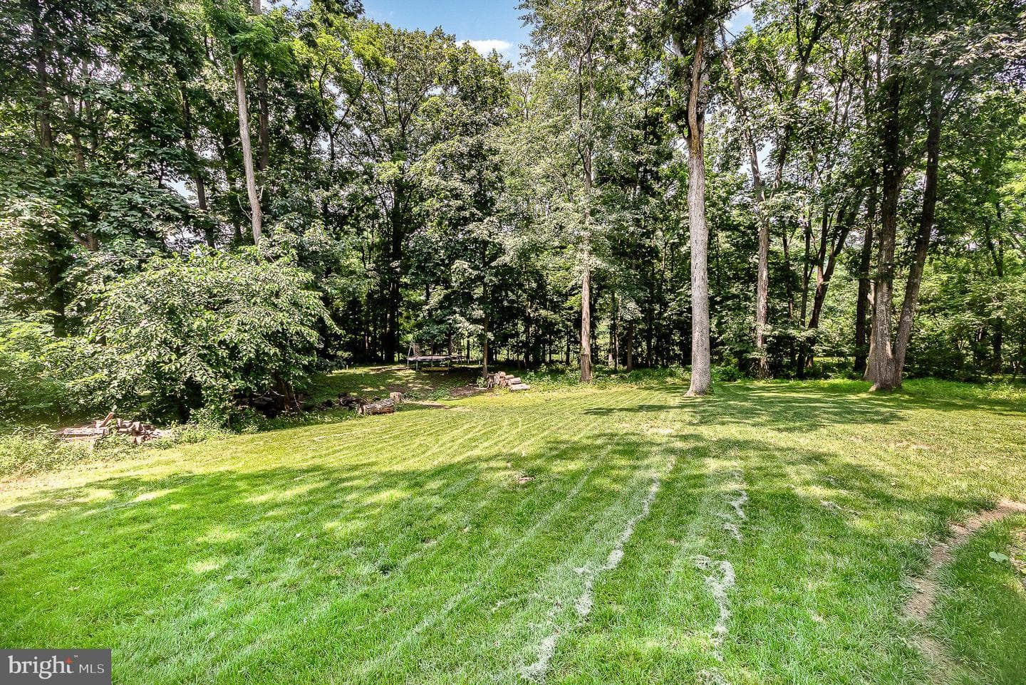 16 Triplett Court photo 19