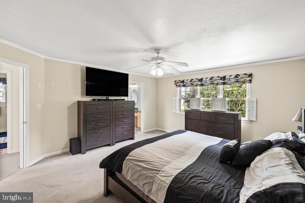 376 Wilson Avenue photo 45