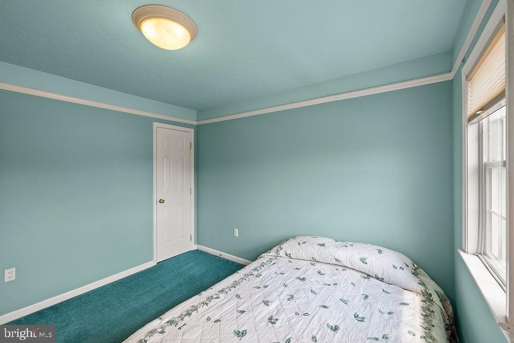 376 Wilson Avenue photo 60