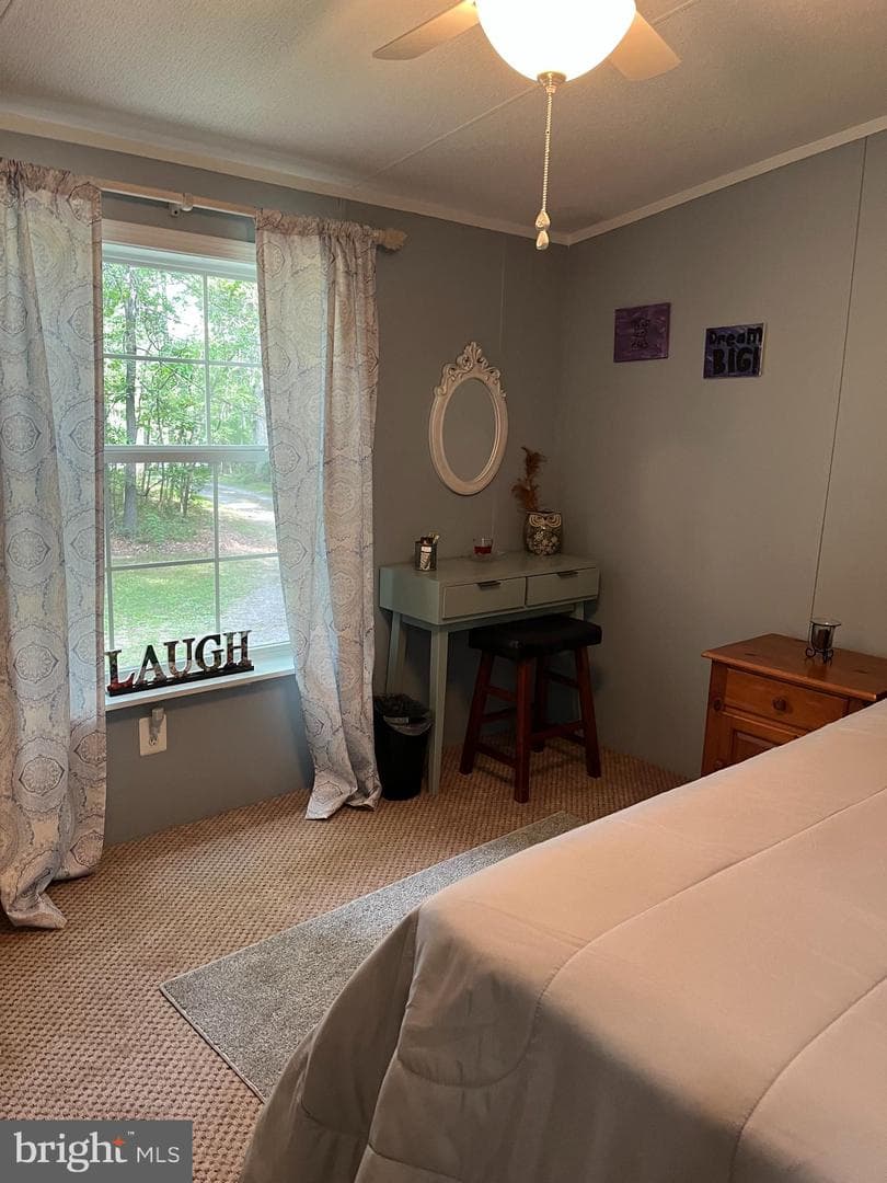 740 Butter Road photo 22