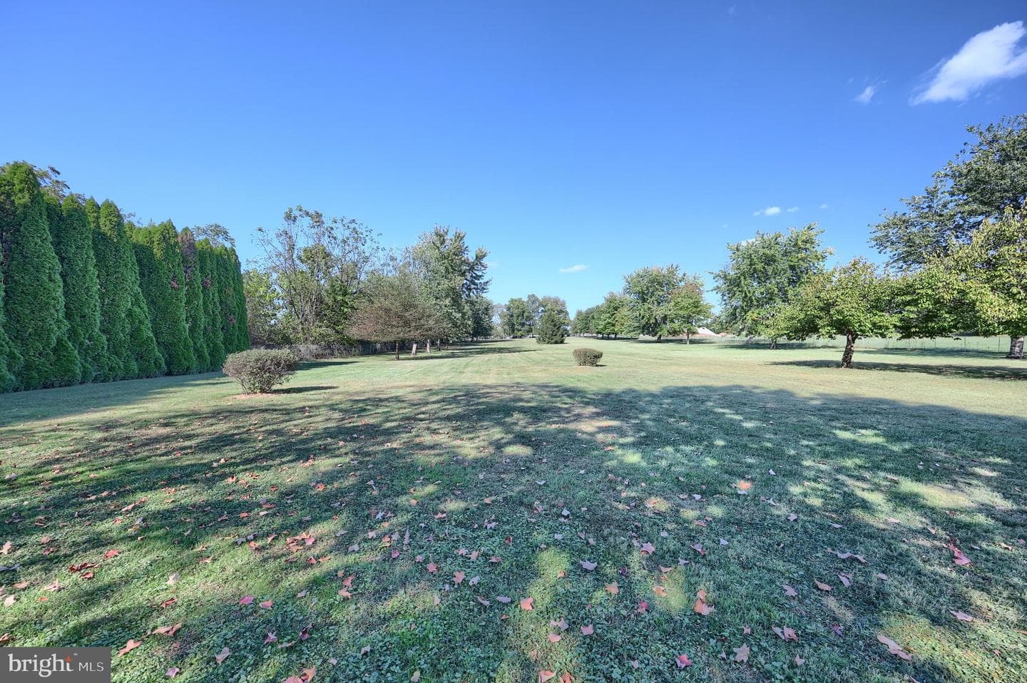 868 Greenbriar Road photo 17