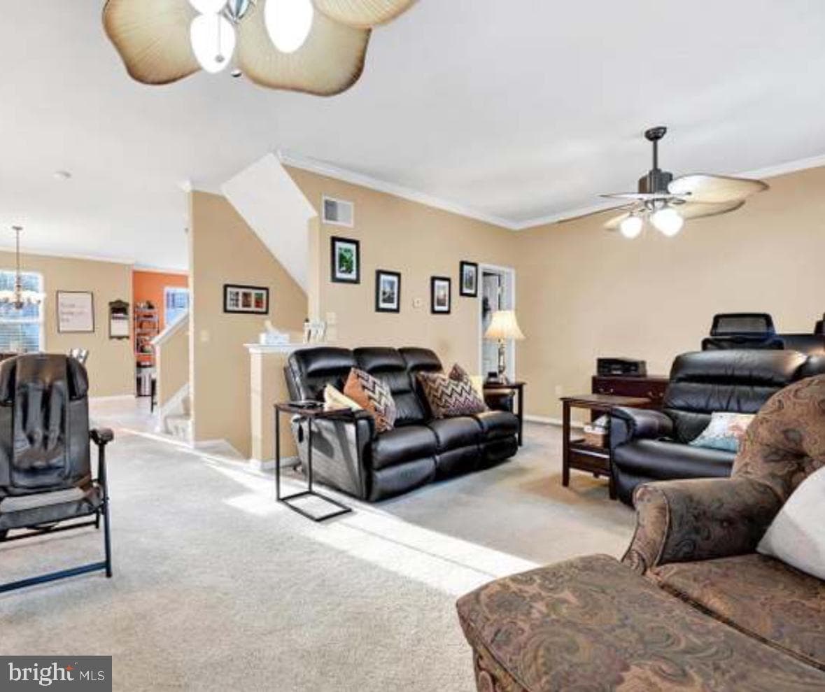 427 Marion Road #427 photo 14