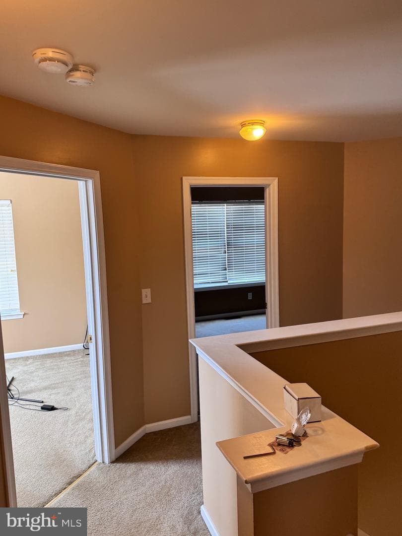 427 Marion Road #427 photo 44