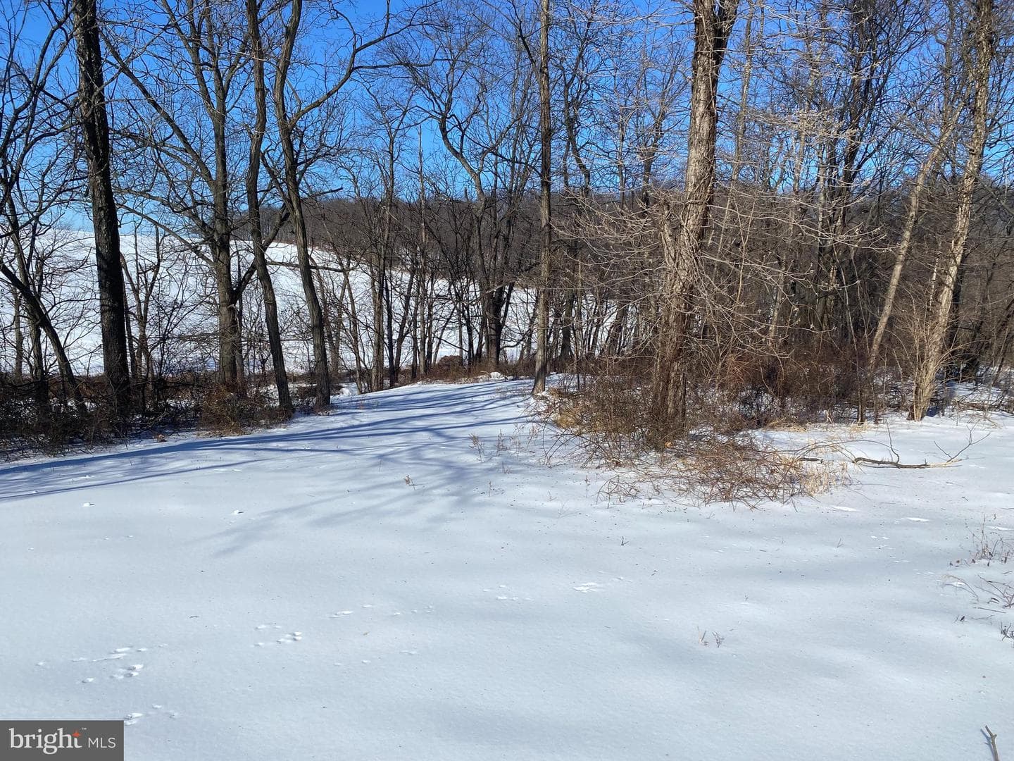 10400 Enfield Road photo 12
