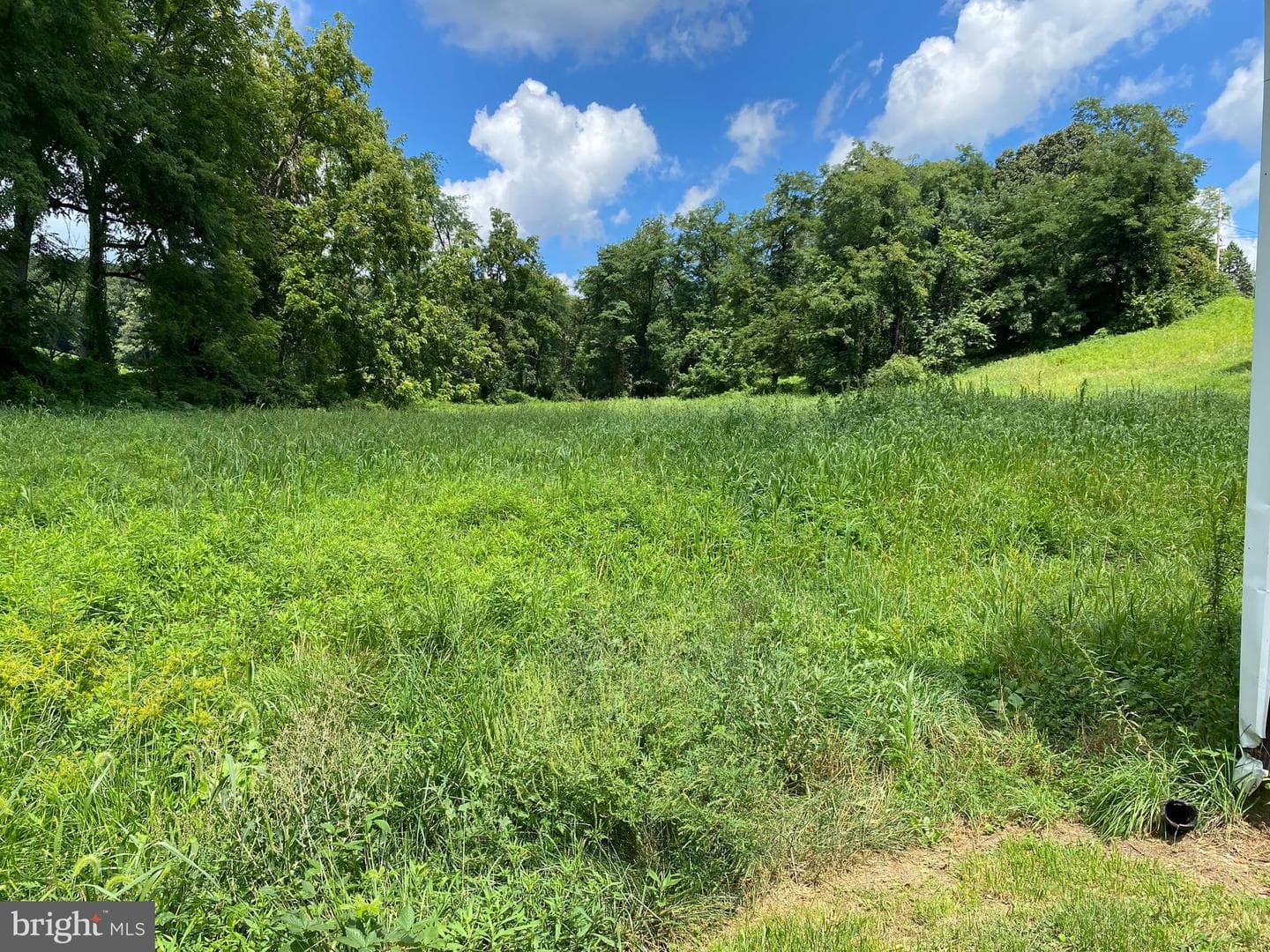 10400 Enfield Road photo 21