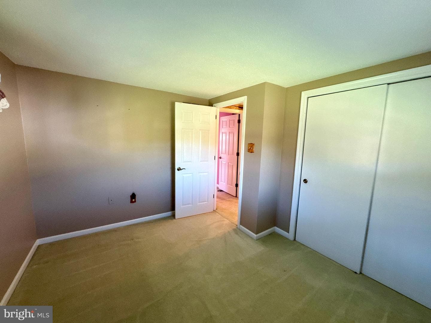 167 Walter Road photo 40