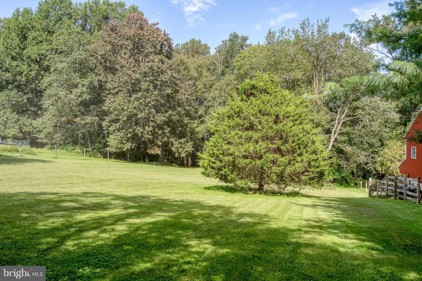 55 Highfield Road photo 51