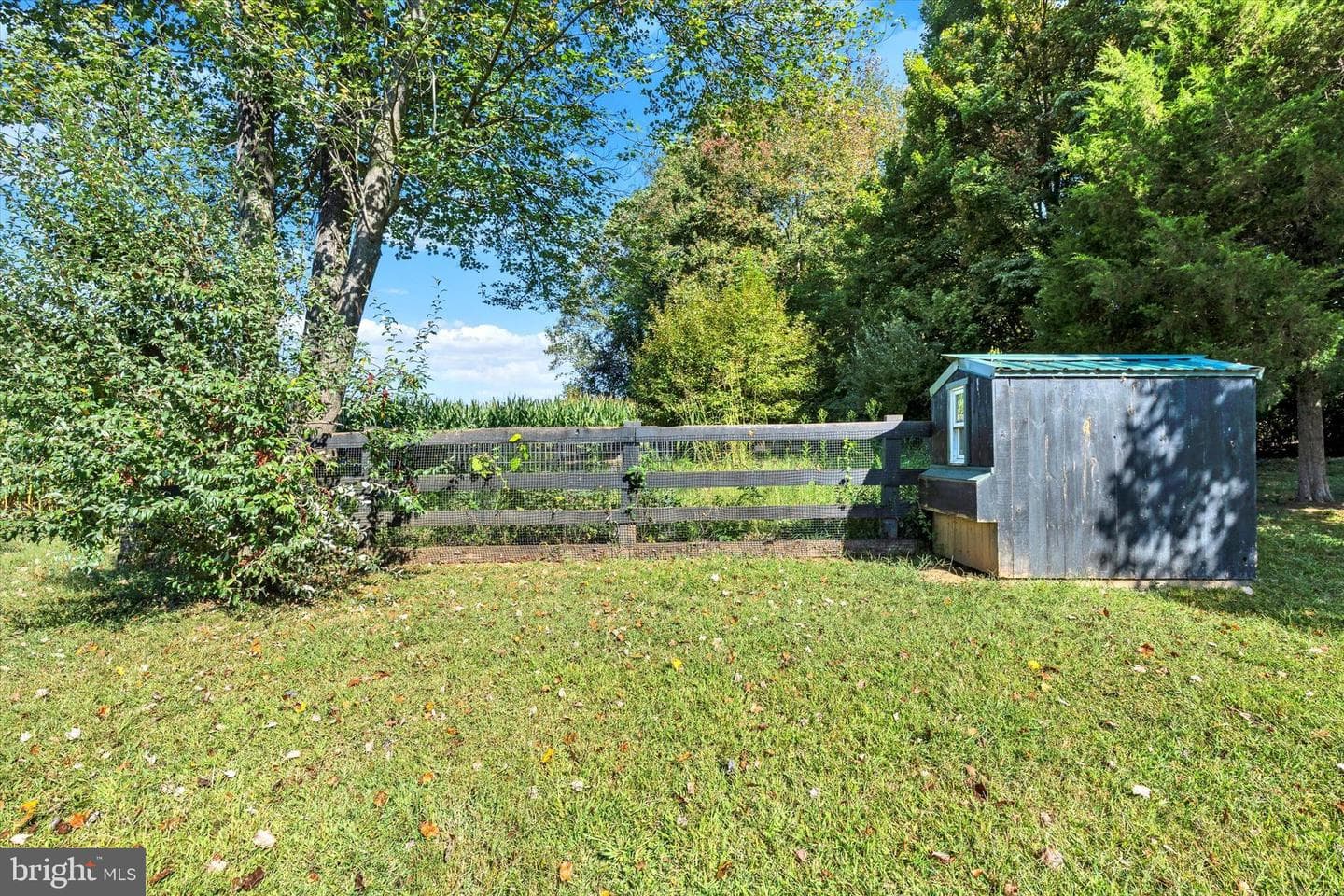 146 Richardson Road photo 37