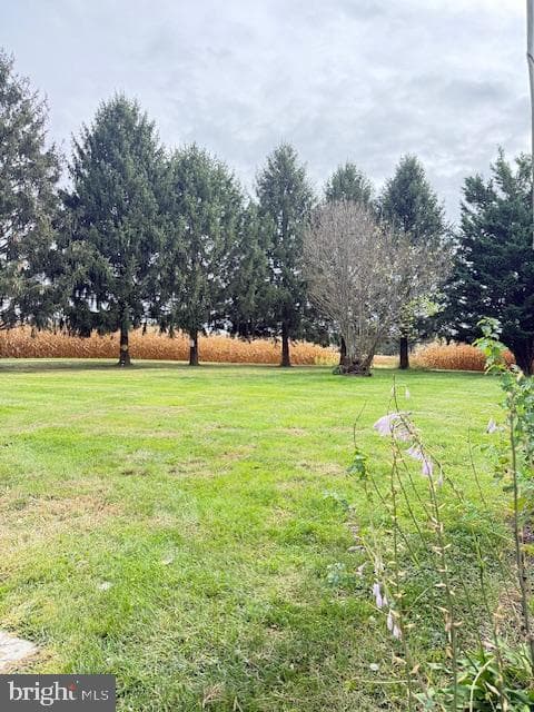 2308 Burkholder Road photo 22