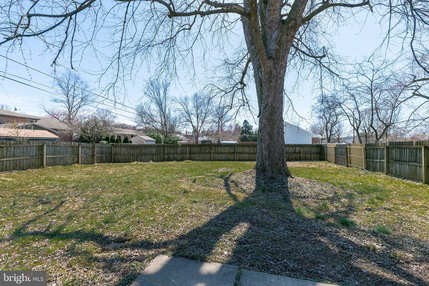 771 Haines Road photo 38