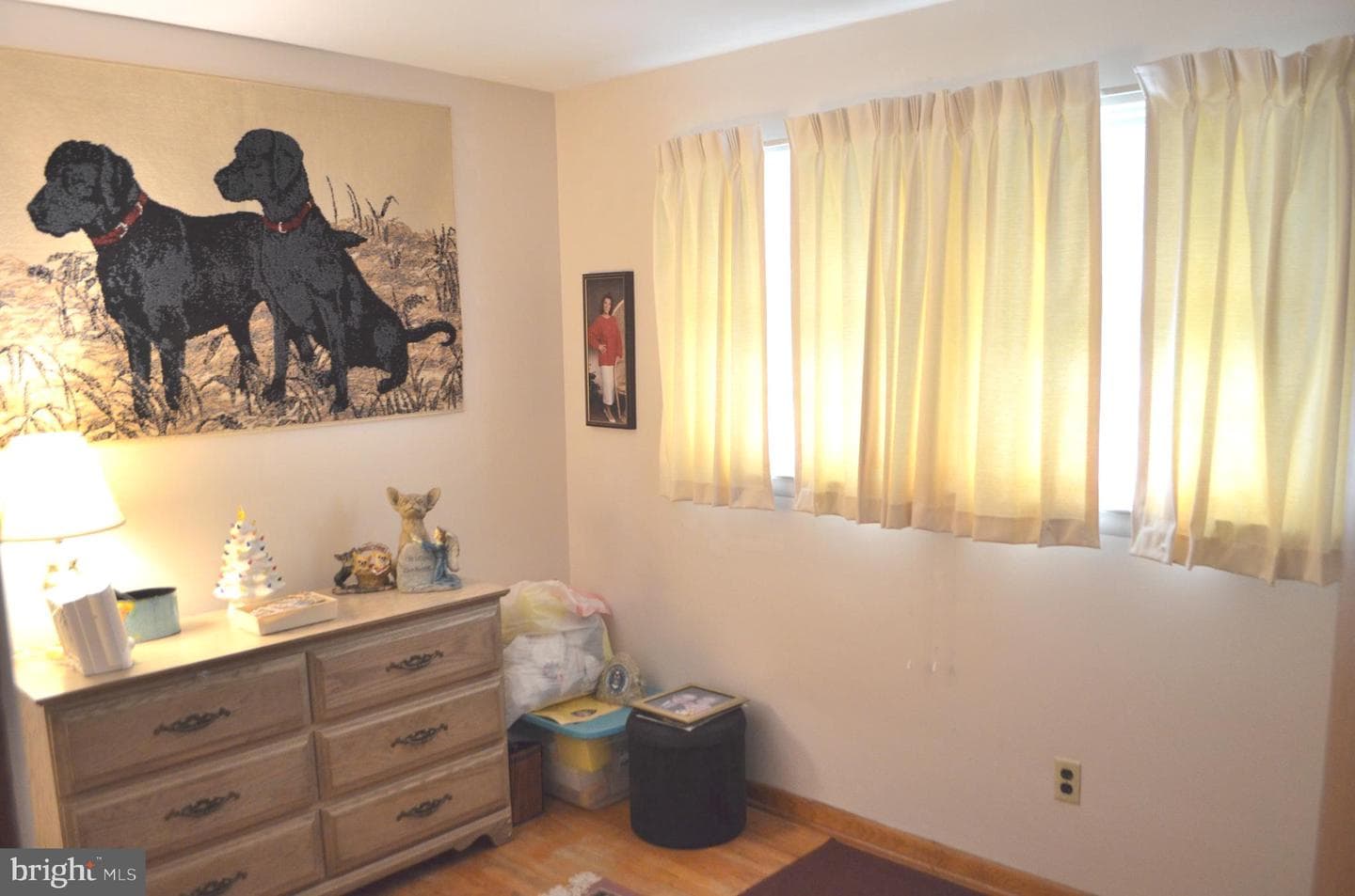 880 Springvale Road photo 24