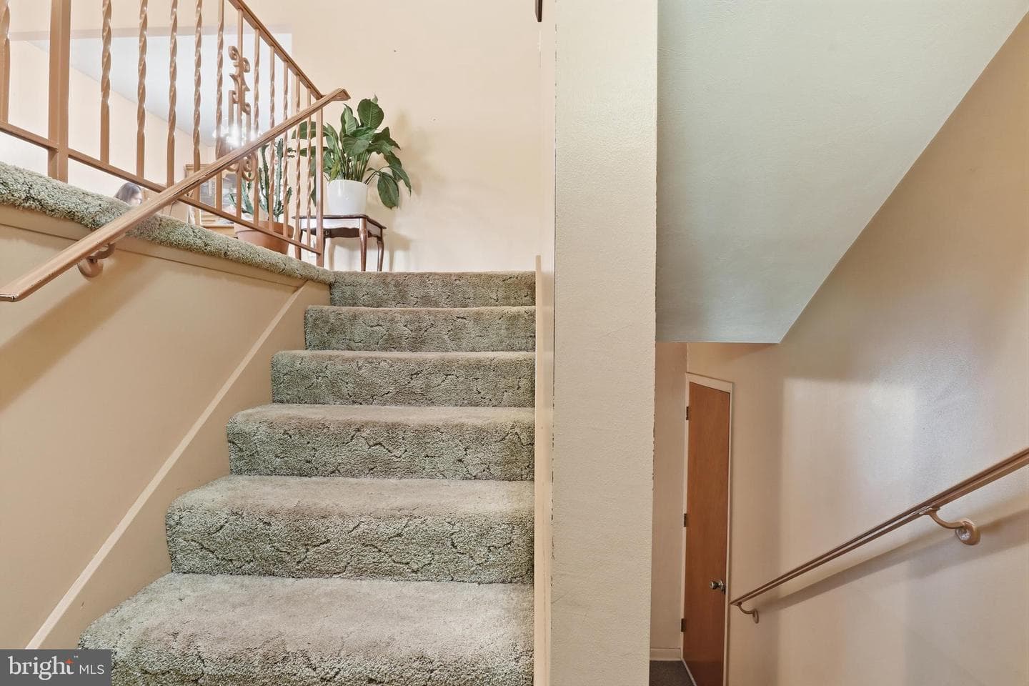 55 Belmar Drive photo 18