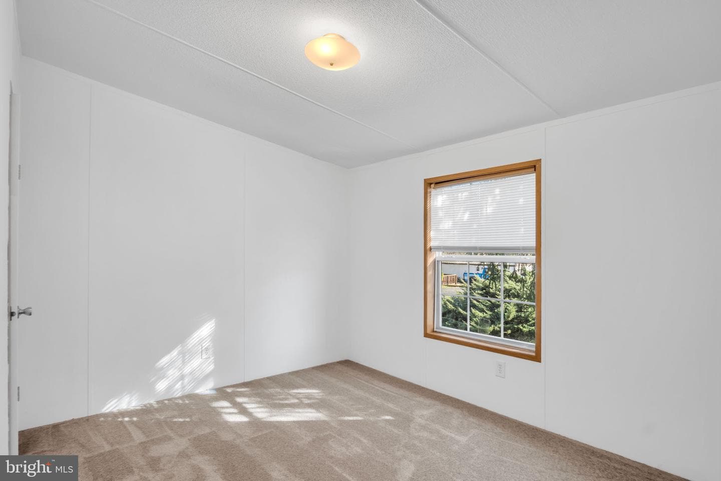 11 Tyler Drive photo 13