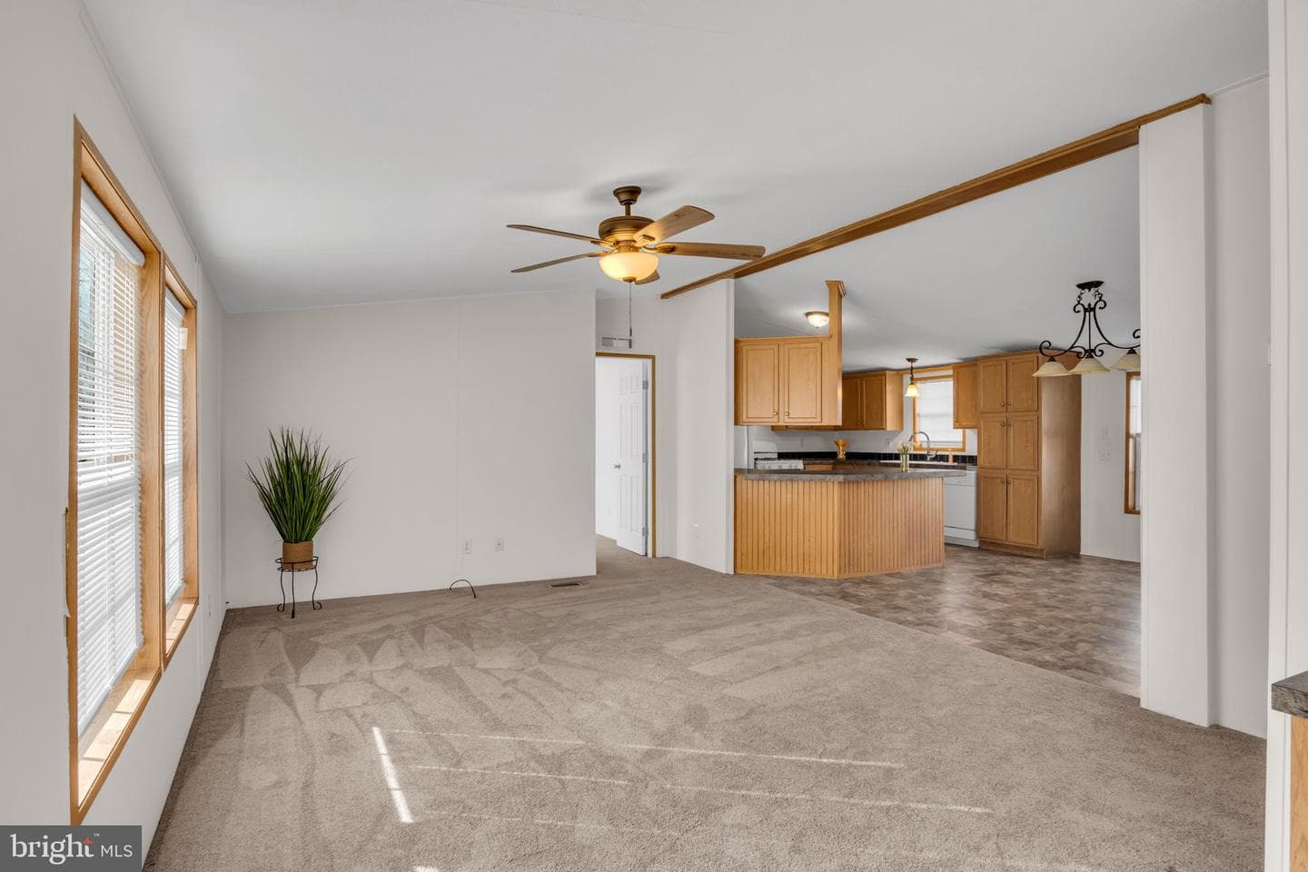 11 Tyler Drive photo 18