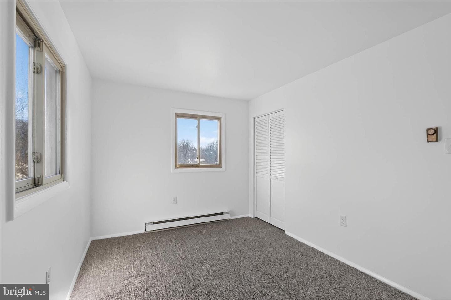 25 Black Walnut Drive photo 29