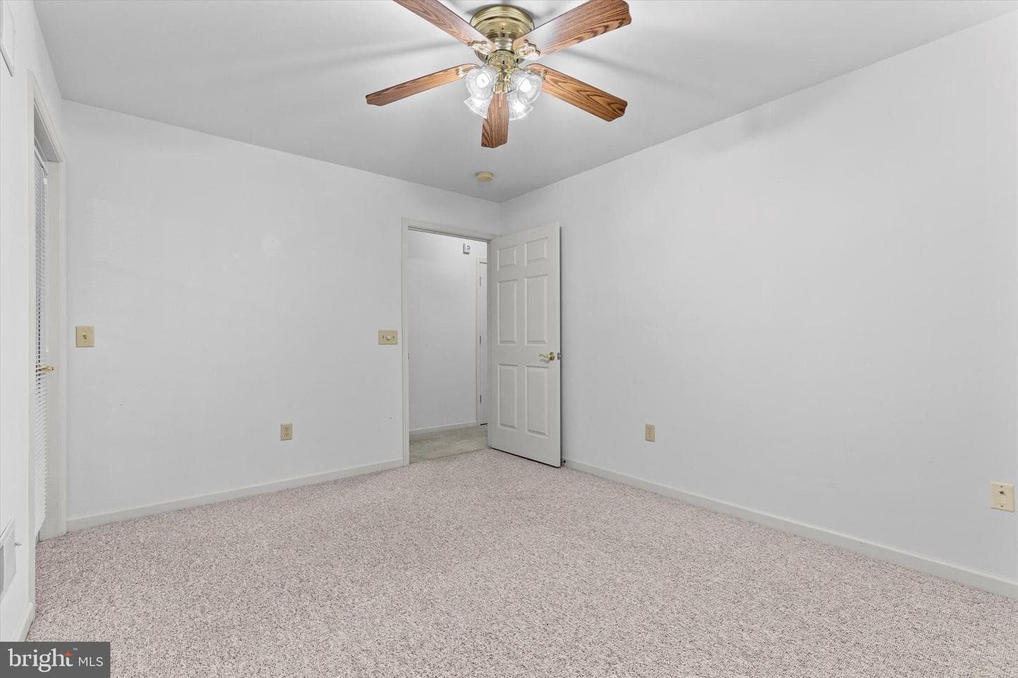 218 Equine Cove photo 13