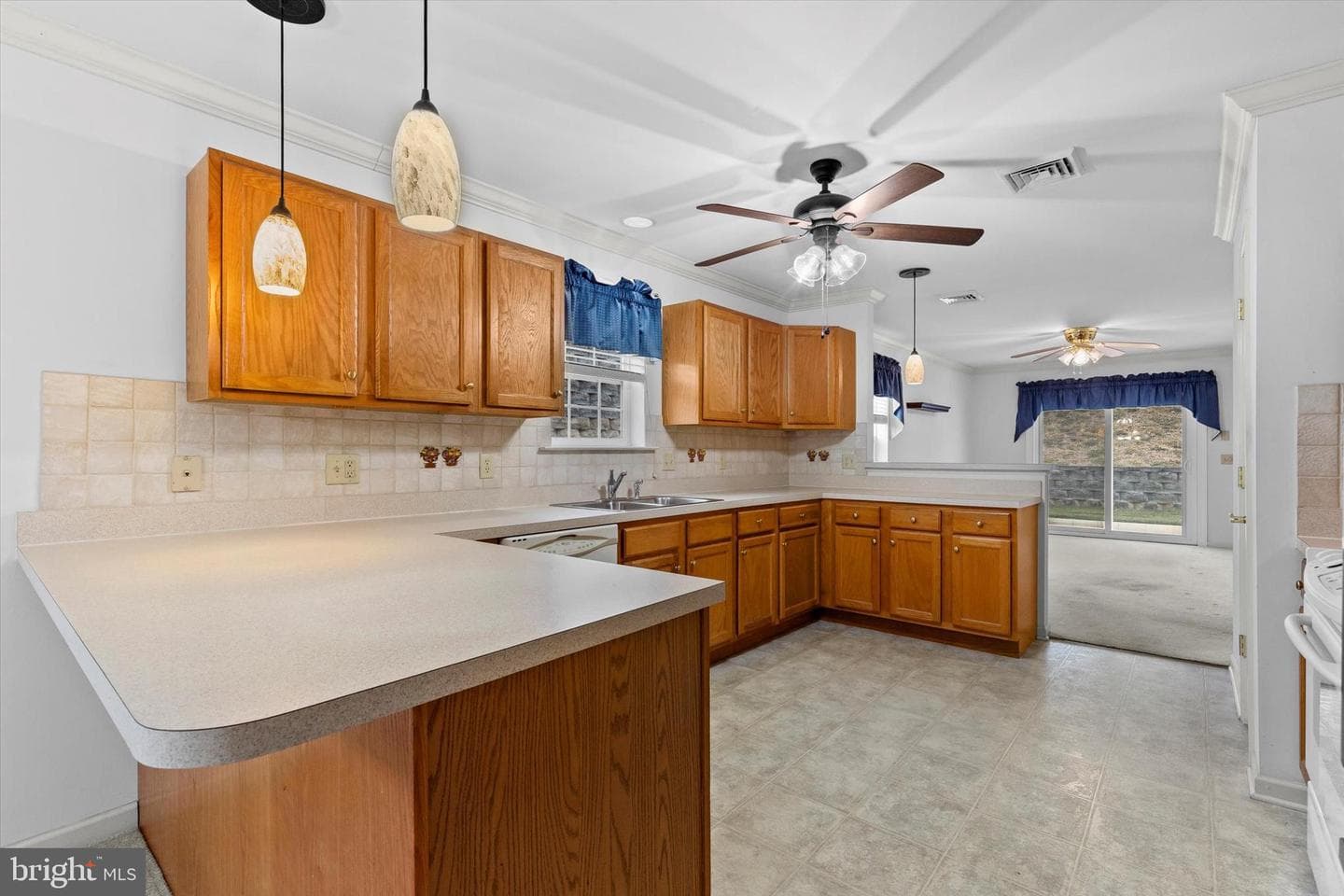 218 Equine Cove photo 9
