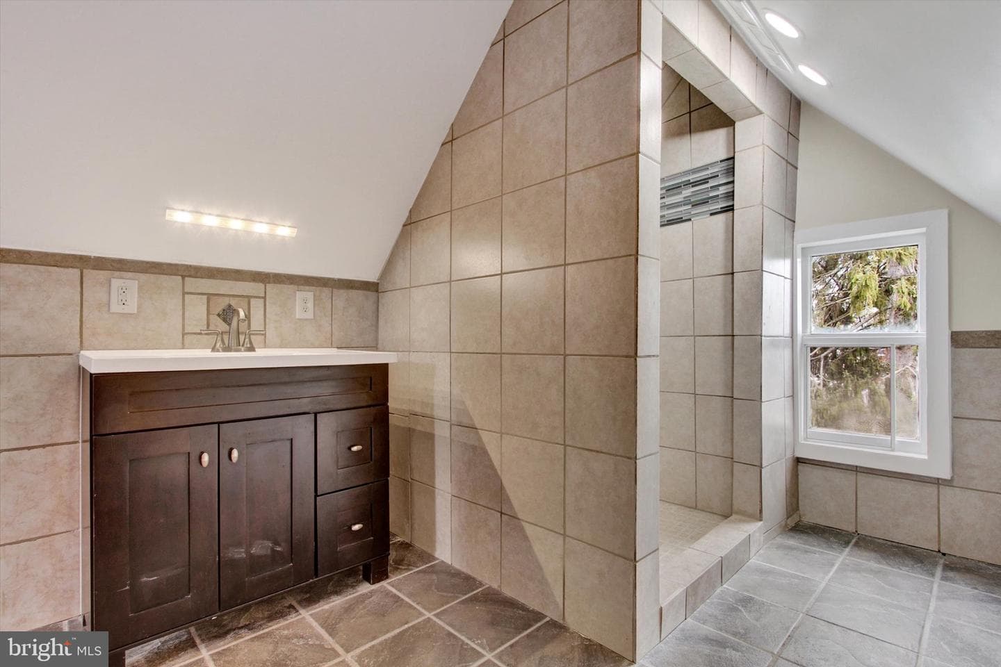 407 Carlisle Street photo 25