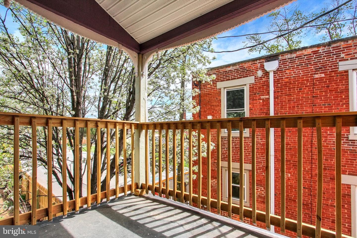 407 Carlisle Street photo 33