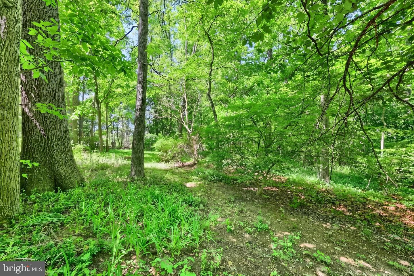 4275 Evergreen Road photo 10