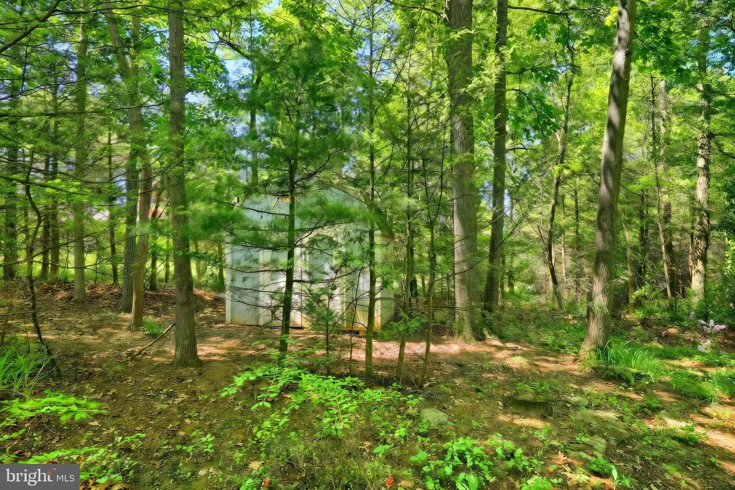 4275 Evergreen Road photo 14