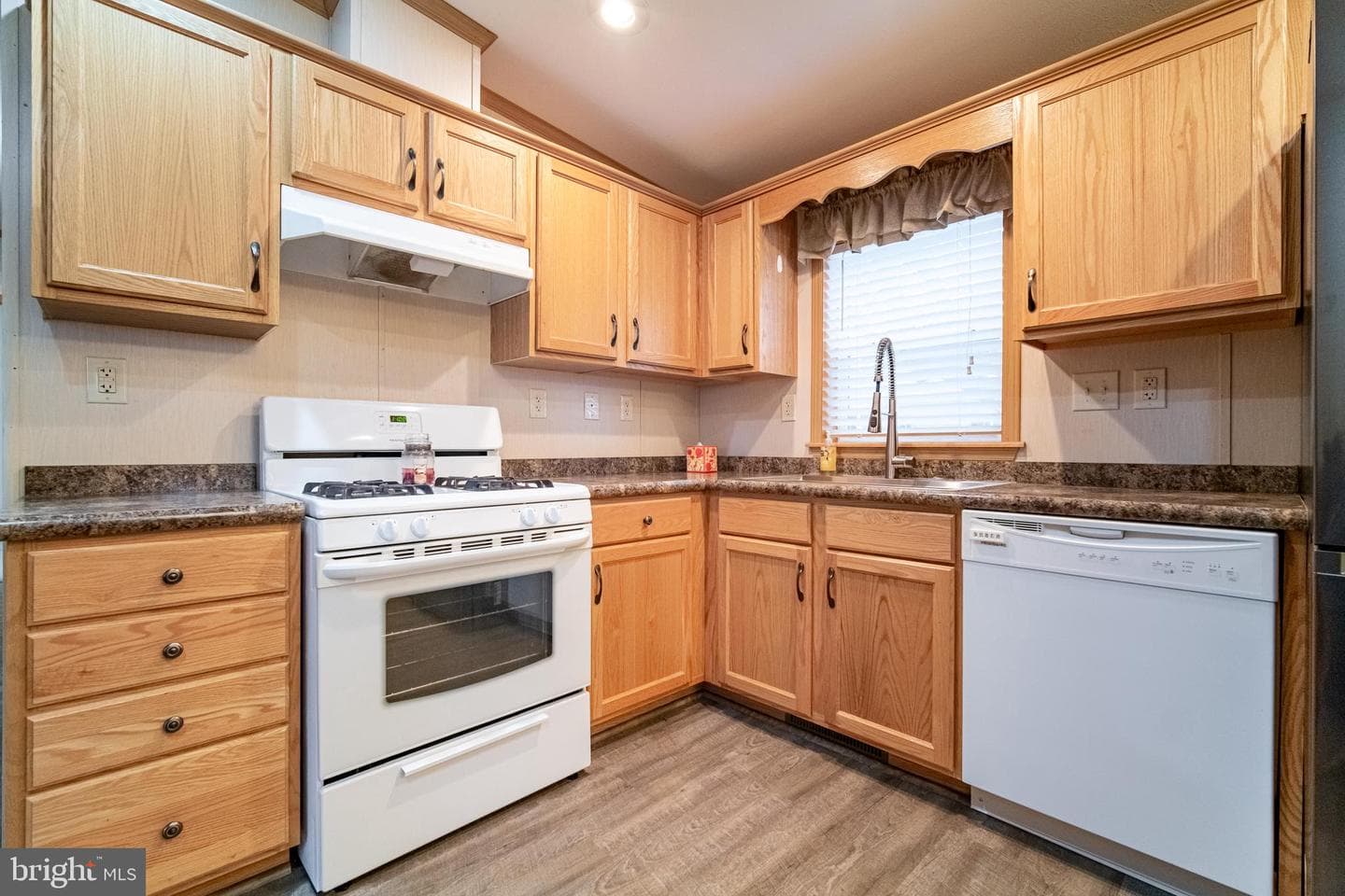 303 Basil Court photo 8