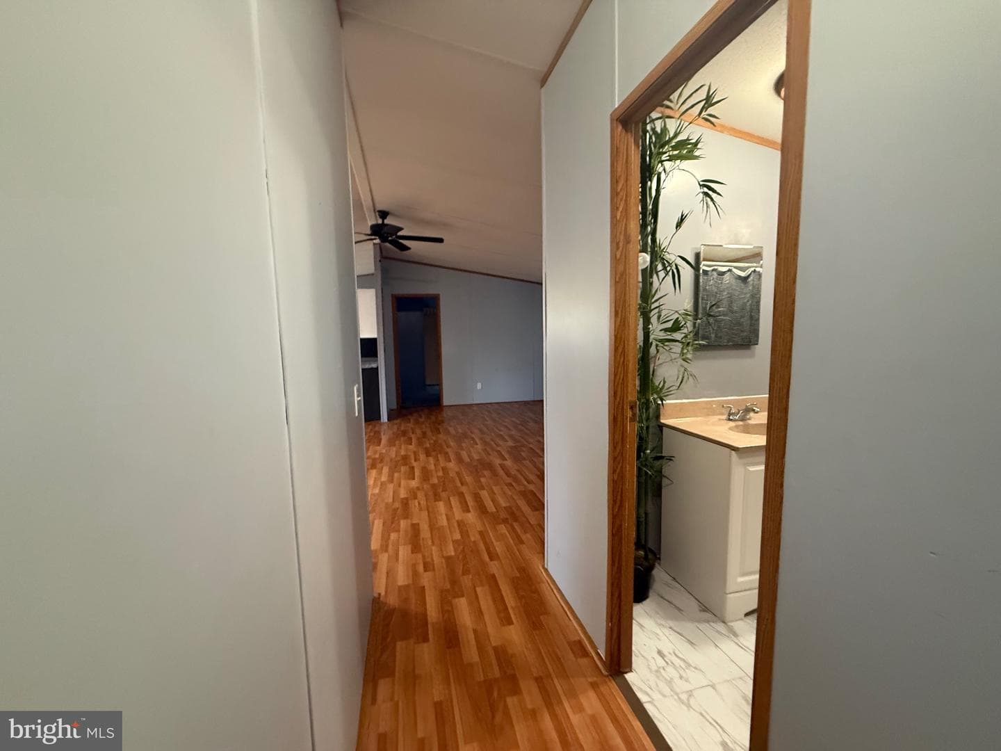 701 Cassel Road #74 photo 10