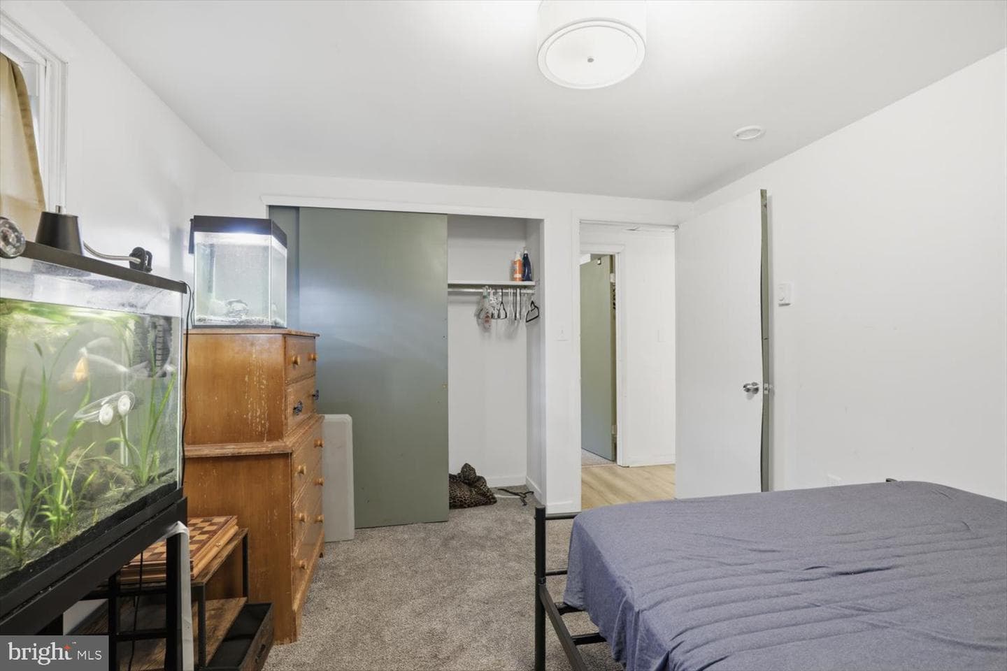 15 Catalina Drive photo 21