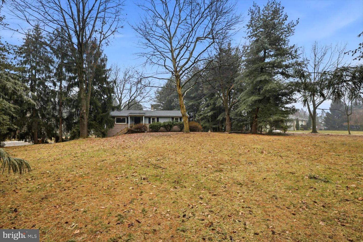15 Catalina Drive photo 3