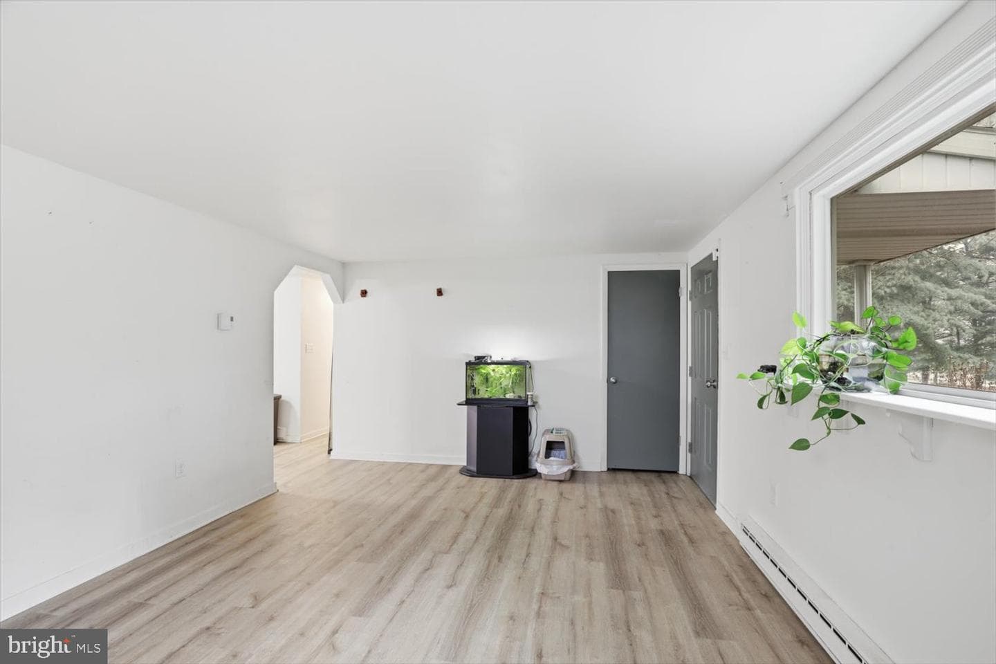 15 Catalina Drive photo 9