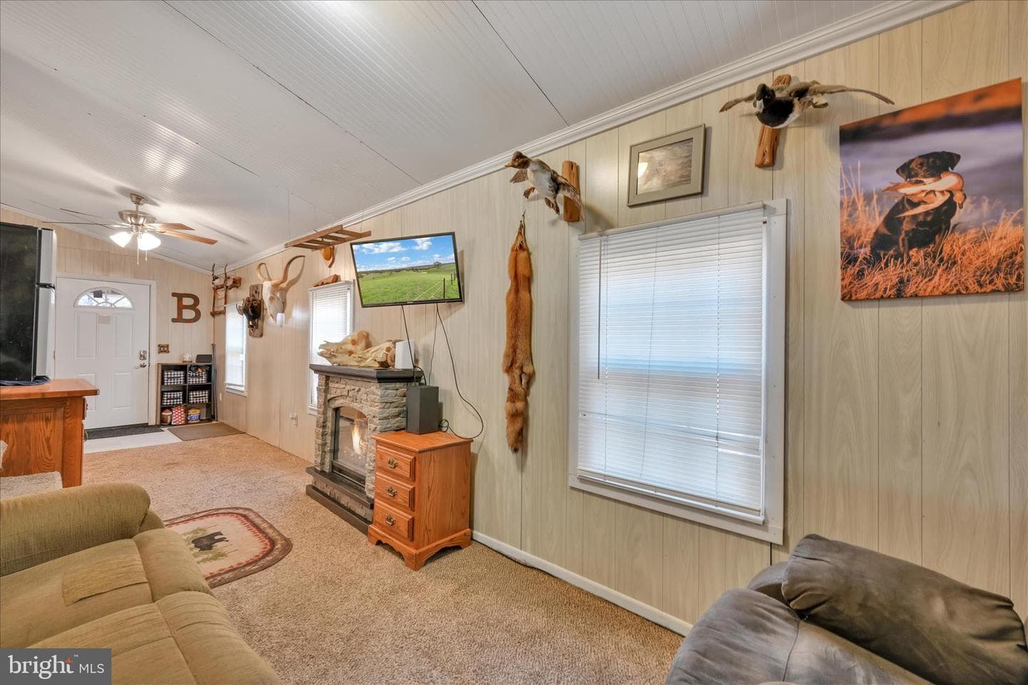 737 Lake Drive photo 8
