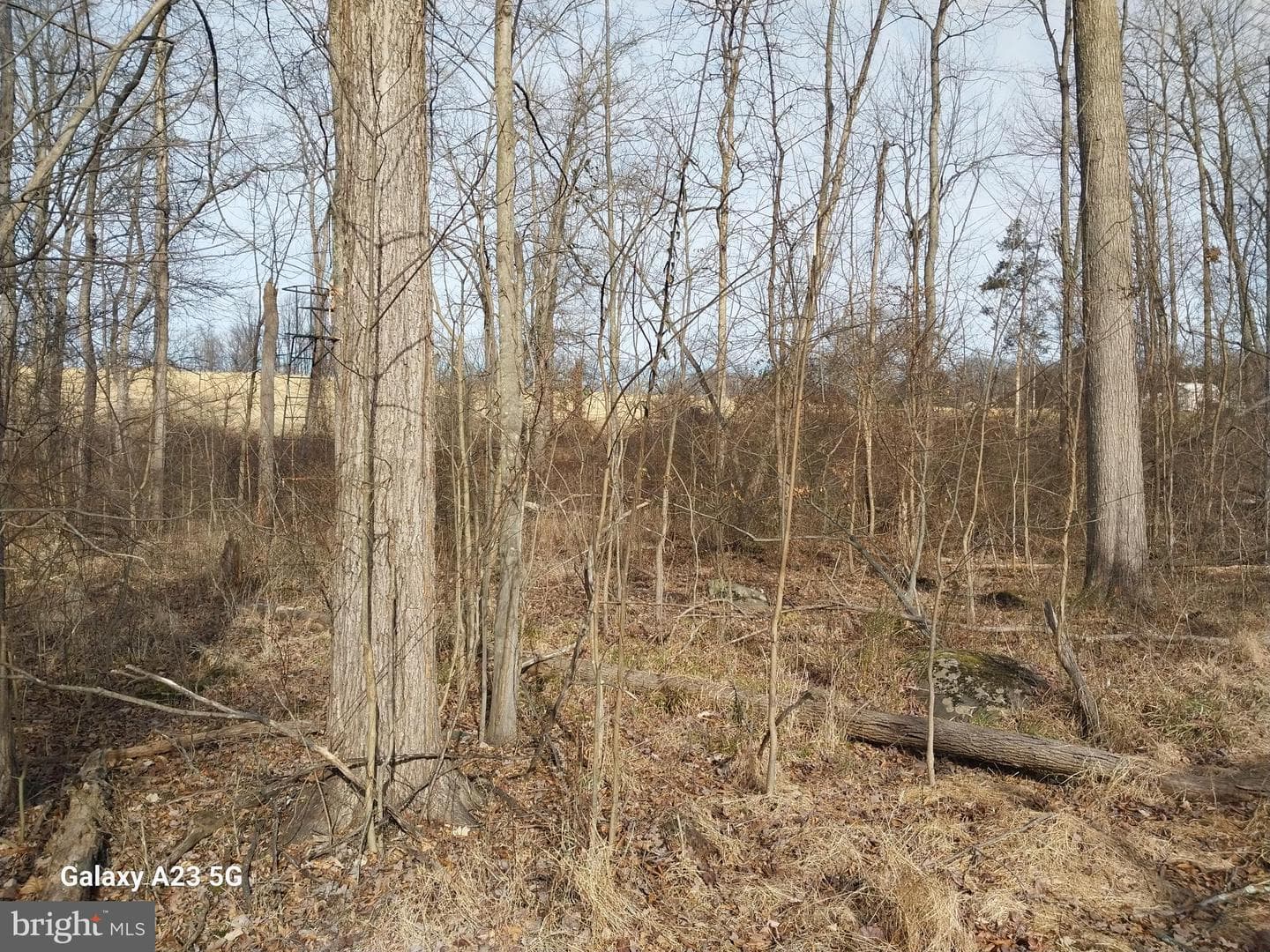 8065 Bull Road photo 25